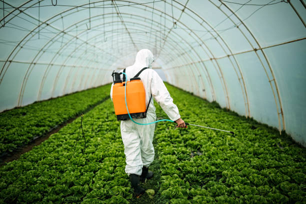 Best Ant Control Services  in Winnemucca, NV