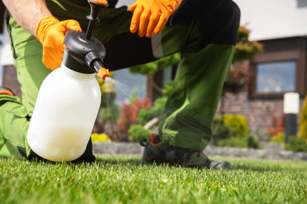 Best Pest Removal Services  in Winnemucca, NV