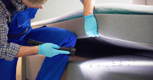Best Local Pest Control Services  in Winnemucca, NV