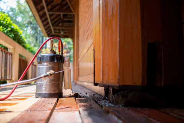 Best Pest Prevention Services  in Winnemucca, NV