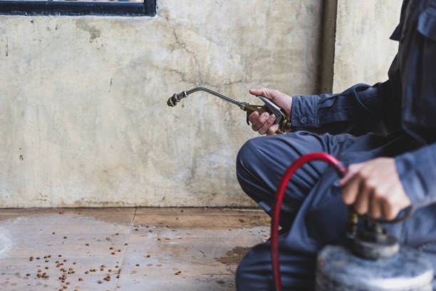 Best Residential Pest Control  in Winnemucca, NV